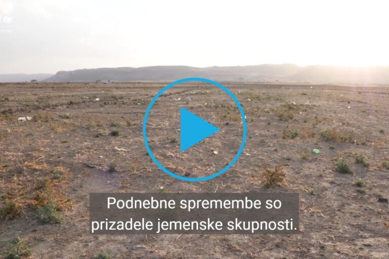 UNICEF v Jemnu podpira več kot 150 vodnih sistemov na sončno energijo, ki zagotavljajo pitno vodo za 2,5 milijona ljudi.