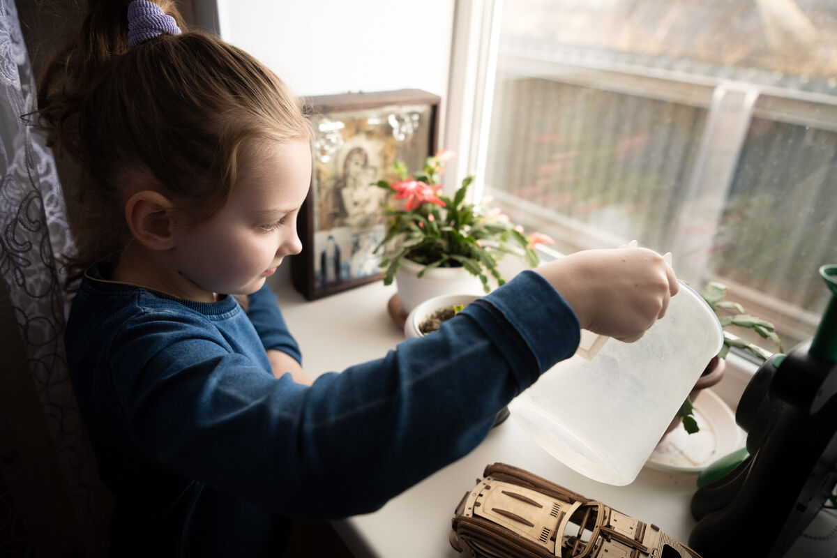 8-letna Kseniia zaliva rastline na okenski polici.
