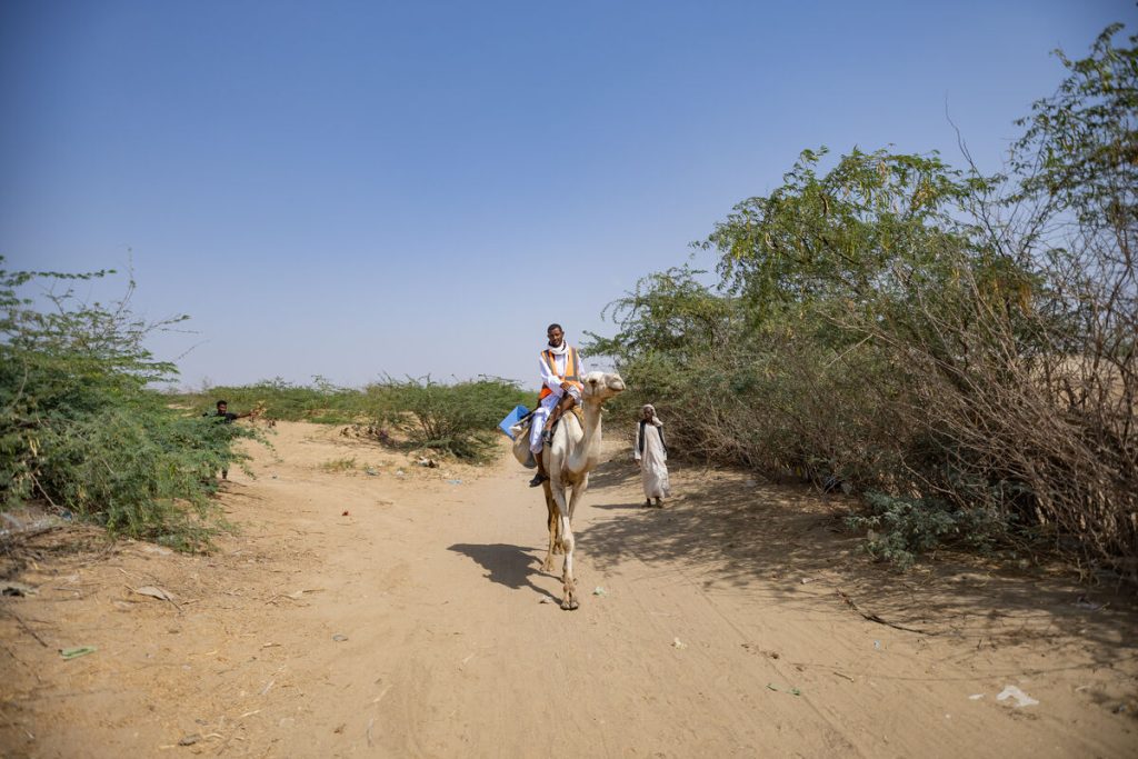 Mahmoud, cepilec in zdravstveni delavec v oddaljeni lokaliteti Agig v državi Rdeče morje, se med kampanjo cepljenja proti otroški paralizi od vrat do vrat v dolini Barqiq vozi na kameli, da bi dosegel otroke.