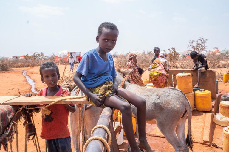 Eno od taborišč v Dollowu, kamor so se zatekle družine iz drugih delov Somalije, pa tudi iz Etiopije in Kenije.