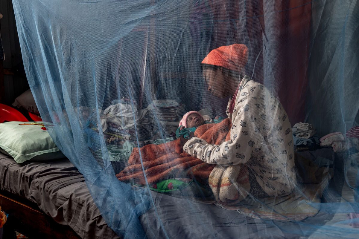 Mati pokriva otroka z mrežo proti komarjem.